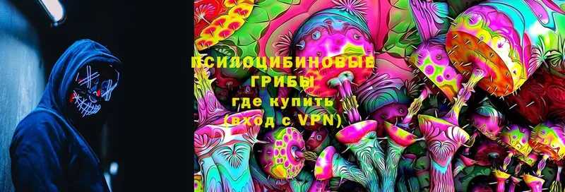 Галлюциногенные грибы Magic Shrooms  Новороссийск 